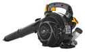 Hand Held Leaf Blowers