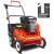 Weibang WB384RB Petrol Lawn Scarifier
