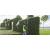 Echo HCA-2620ES-HD Hedge Trimmer Professional Long Reach Pole - view 4