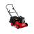 Oleo-Mac SR 38 B45 Petrol Lawn Scarifier Briggs Powered - view 2